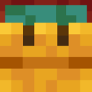Cha27190’s head