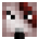 Dinotreize’s head