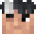 Maxlagafe3060’s head
