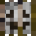 Shazmy’s head