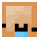 Stylistique’s head