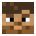 Terminaccrow’s head