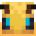 Timvdvk’s head