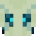 Typhoon’s head