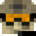 Vortex31’s head