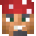 diditour’s head