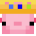 foxtog’s head