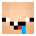 laess’s head
