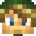 skulllink’s head