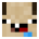 zenflyloveusd’s head